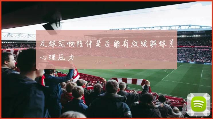 足球宠物陪伴是否能有效缓解球员心理压力